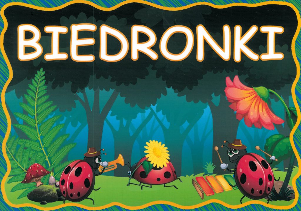 skan biedronki 1024x718